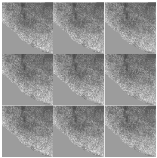 What the infinite spectra looks like when I color over the background and the white scale box.