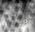 Close up of filtered reconstruction. Manually measured subunit center-to-center distance of 29.60 nm along periodic frequency of the red ring (lower frequency).