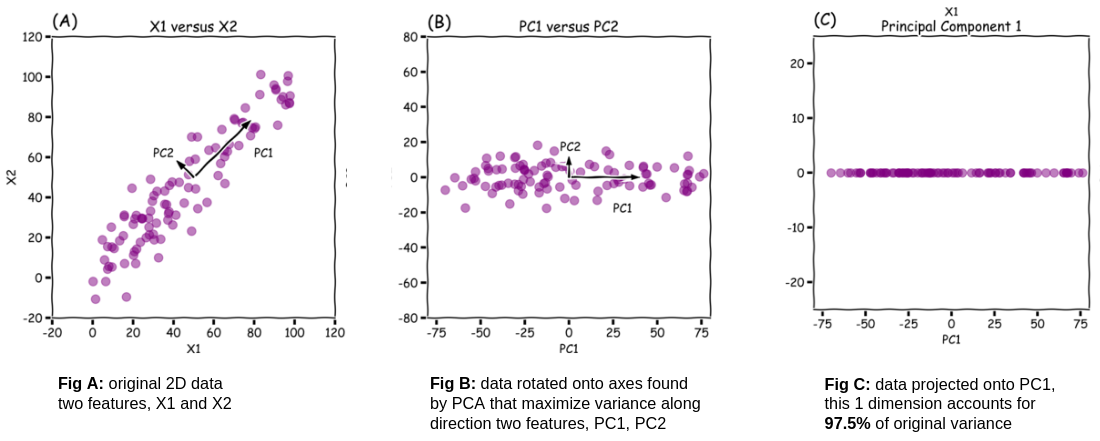 Image Source: Limitations of Applying Dimensionality Reduction using PCA — Roberto Reif